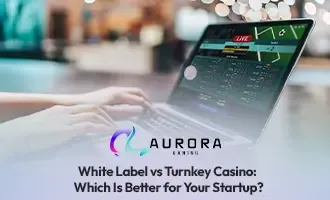 White Label vs Turnkey Casino: Pilihan Terbaik untuk Startup iGaming Indonesia